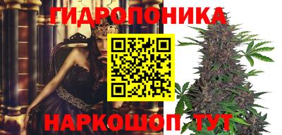 индика Ливны