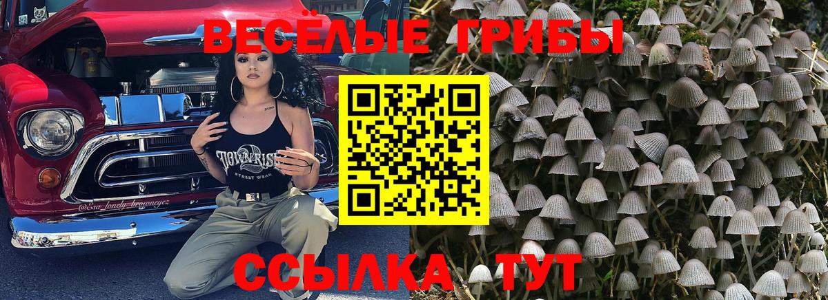 Псилоцибиновые грибы мухоморы Ялуторовск