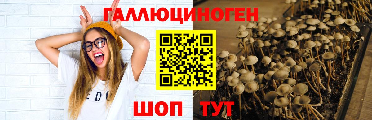 Псилоцибиновые грибы GOLDEN TEACHER  Вход с VPN  Ялуторовск 
